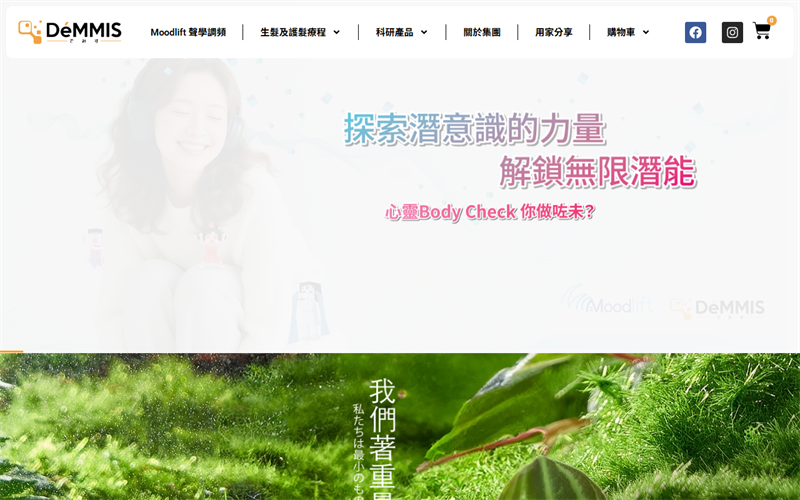 DeMMIS website